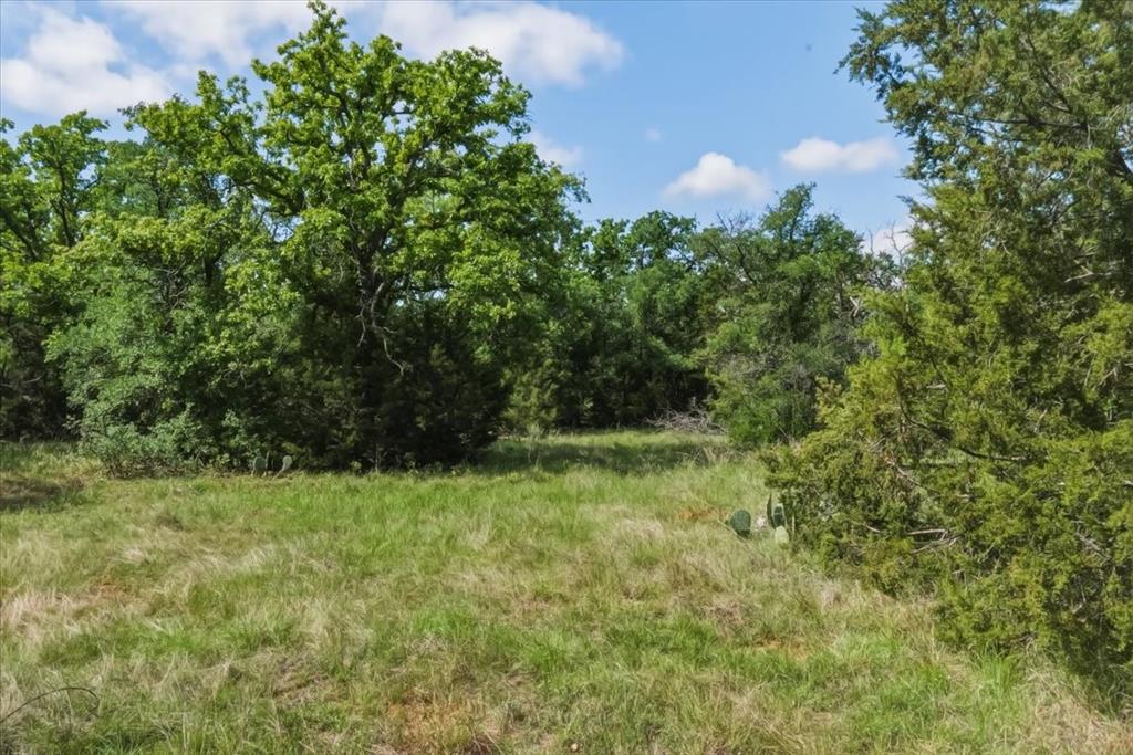 Twin Oak Ranch - Land