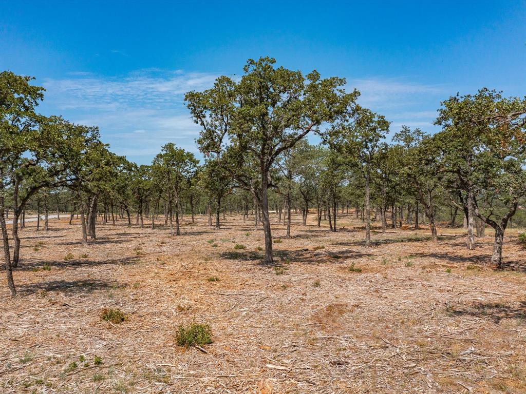 Carter Heights - Land