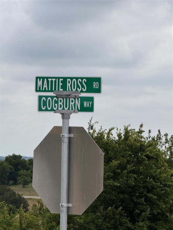 Cougar Mountain Estates Ph 1 - Land