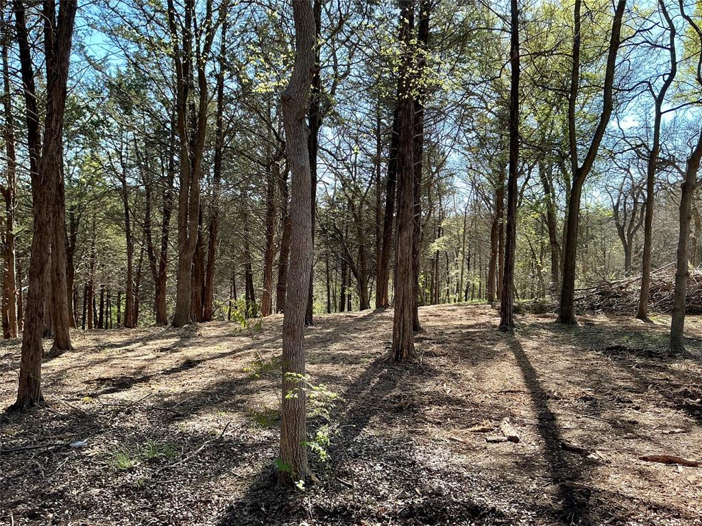 Quail Creek Estates - Land