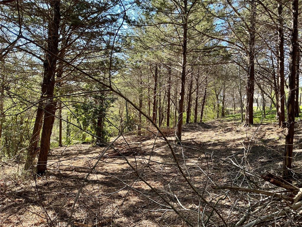 Quail Creek Estates - Land