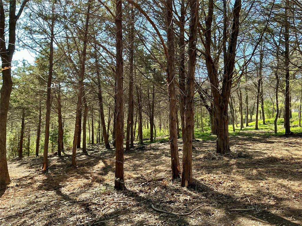 Quail Creek Estates - Land