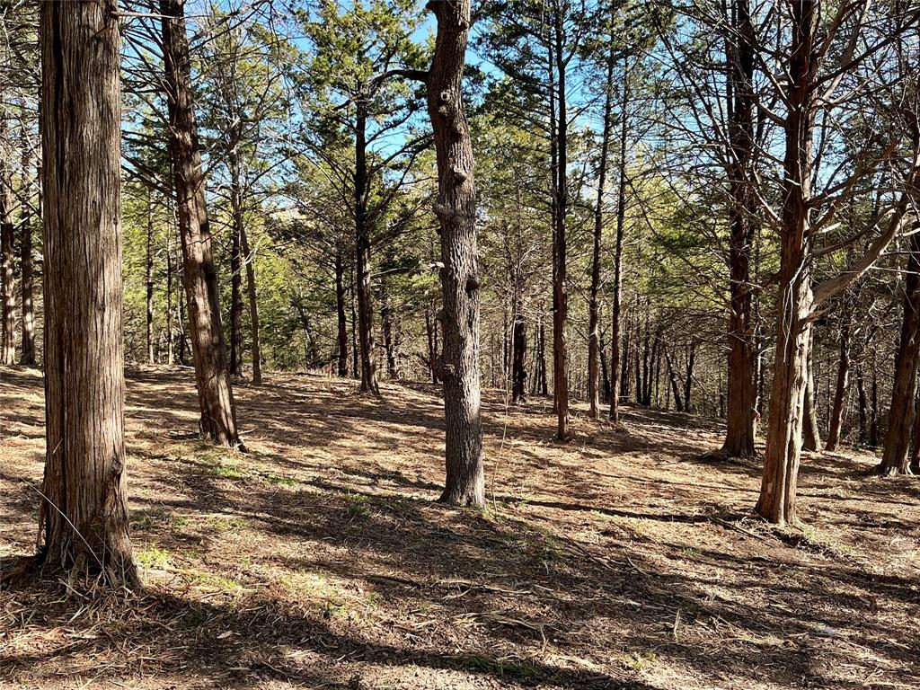 Quail Creek Estates - Land