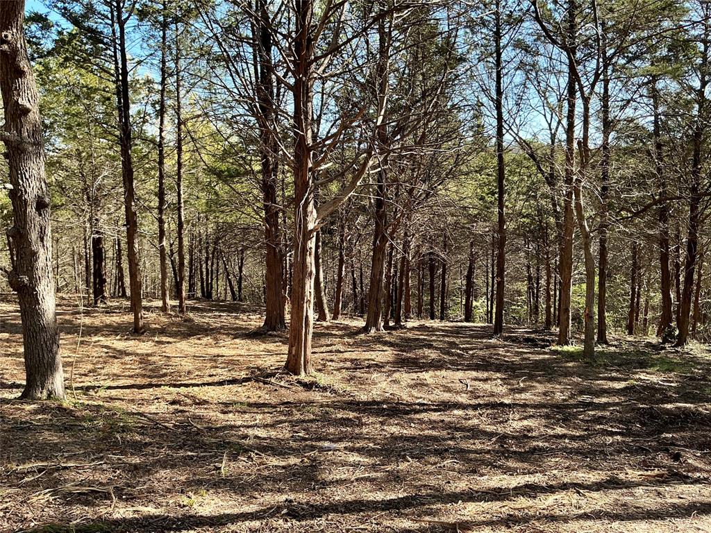 Quail Creek Estates - Land