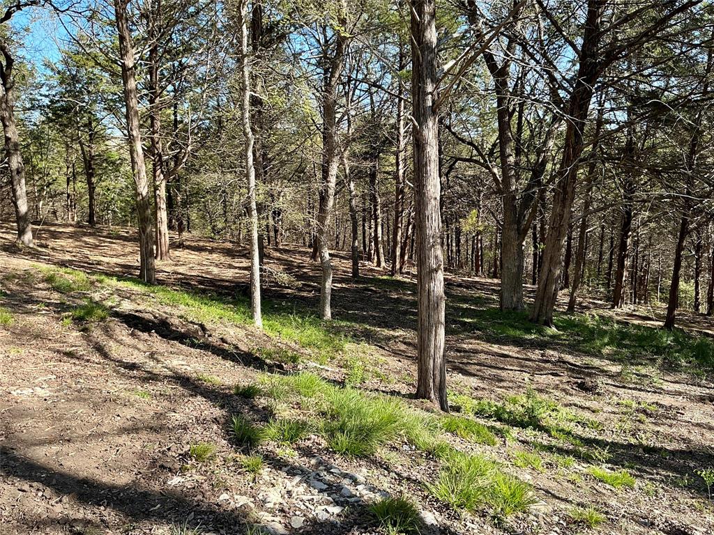 Quail Creek Estates - Land