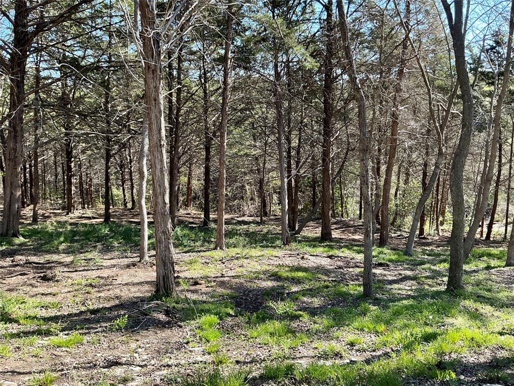 Quail Creek Estates - Land