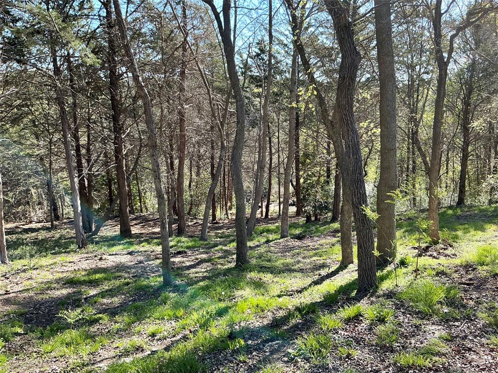 Quail Creek Estates - Land