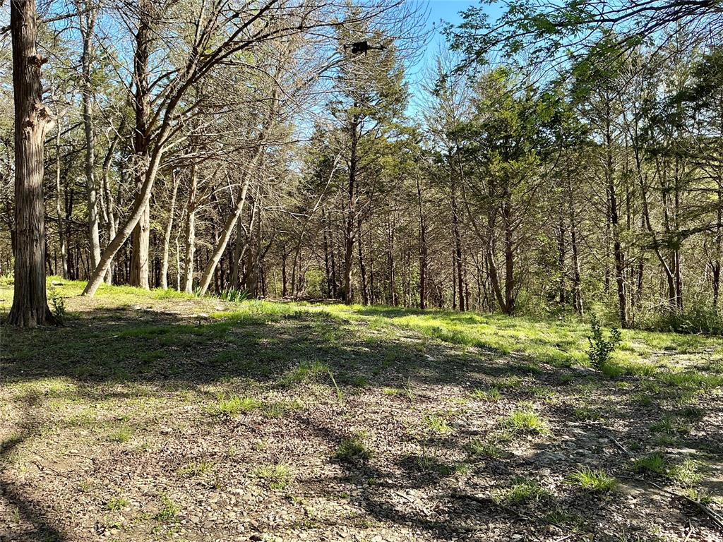 Quail Creek Estates - Land