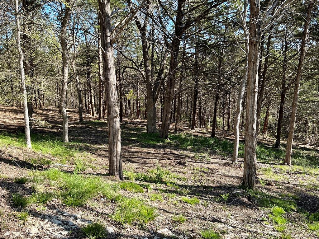 Quail Creek Estates - Land