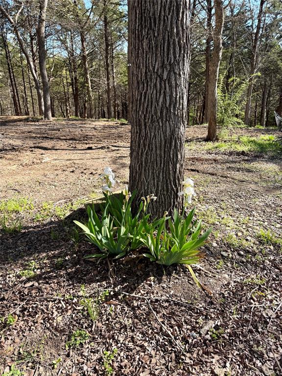 Quail Creek Estates - Land