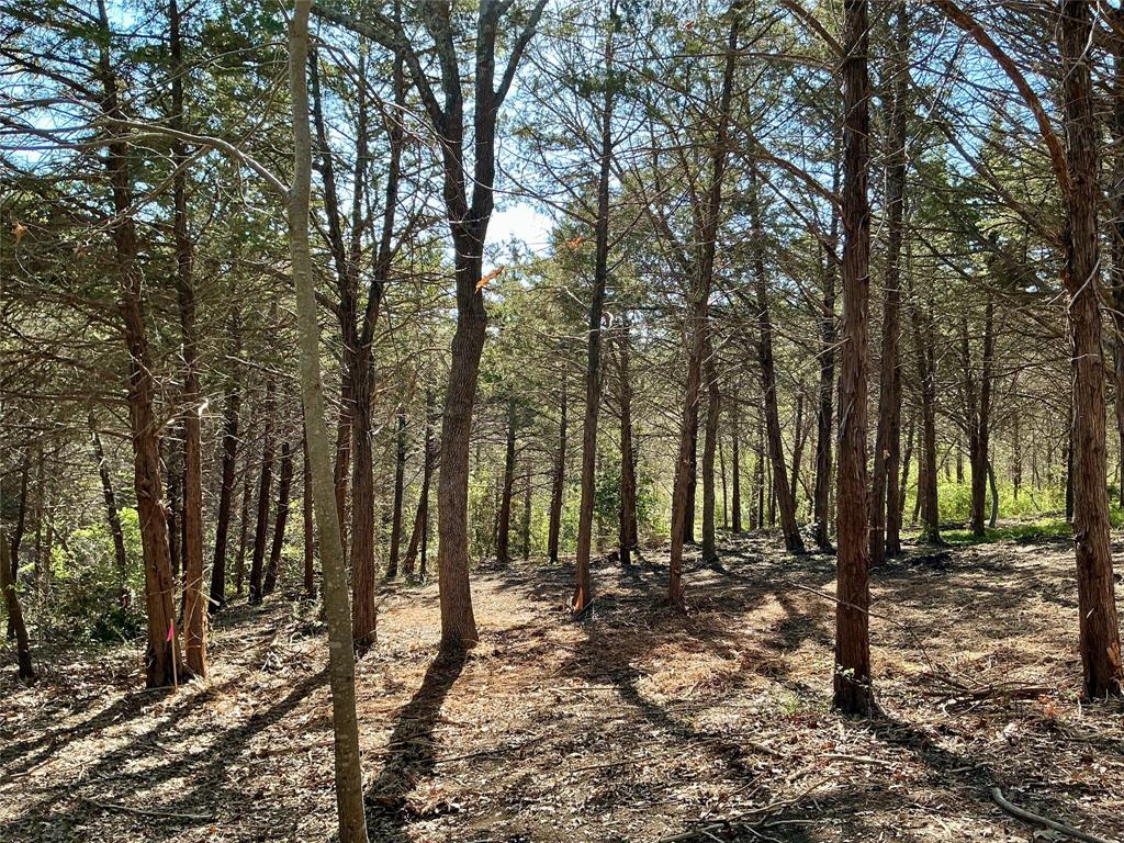 Quail Creek Estates - Land