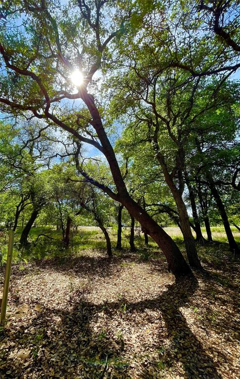 2 lots in Oak Point, at Lake Brownwood!
Just in time for summer fun!
These two RV lots are perfect for a weekend getaway! Come enjoy Oak Points swimming area, parks for the kids, fishing dock, or head to the boat ramp to explore Lake Brownwood! Thinking about bringing friends? No worries! Oak Point offers a guest RV parking area. 
After a long day of fun, come back to camp to enjoy the evening under the beautiful oak trees! 
Come take a look today!
