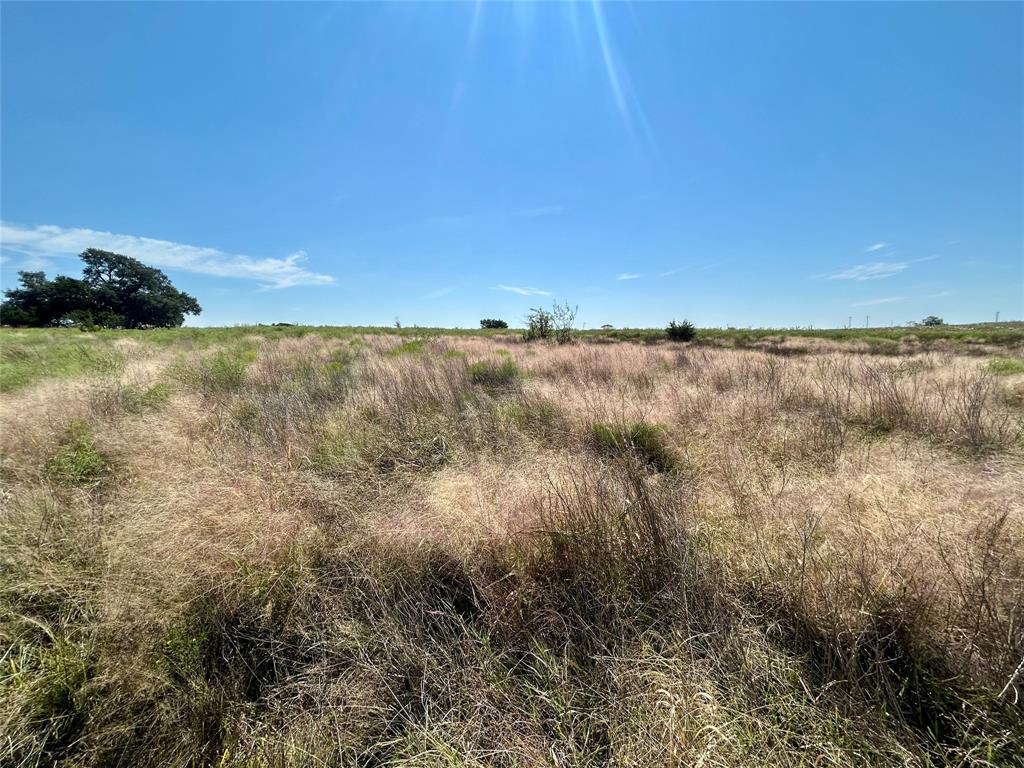 Sunrise Mountain Ranch - Land