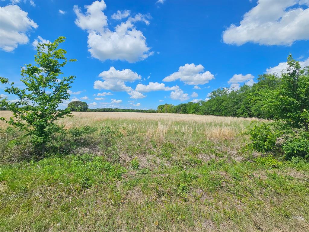 Escape to the peace and quiet of East Texas with this beautiful 10-acre tract in Edgewood, Texas. Perfectly positioned just under an hour from Dallas, this property offers the ideal balance of country living with convenient access to city amenities.

Surrounded by open skies, natural beauty, and the sounds of nature, this land is the perfect place to build your dream home, weekend getaway, or investment property. Enjoy the freedom that comes with no restrictions—bring your plans, whether it's a custom home, barndominium, manufactured home, or recreational use.

If you’re looking for quiet, peaceful living away from the noise and congestion, this property delivers. Wide open space, fresh air, and room to grow make this a rare opportunity in a desirable location.

Don’t miss your chance to own your own slice of Texas countryside—unrestricted, private, and full of potential.
Seller will owner finance. Contact LA for information.