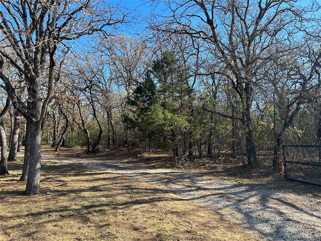 4B Ranch - Land