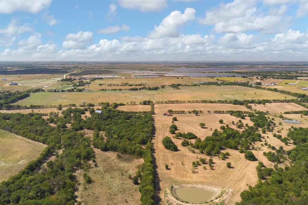 Roebuck - Farm
