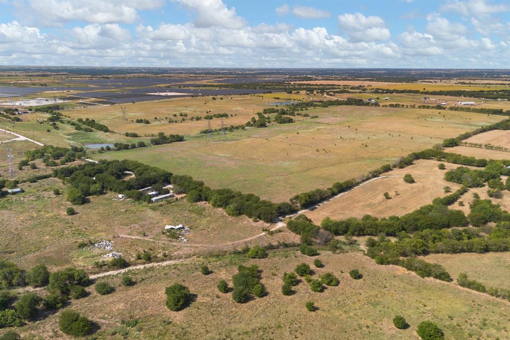 Roebuck - Farm