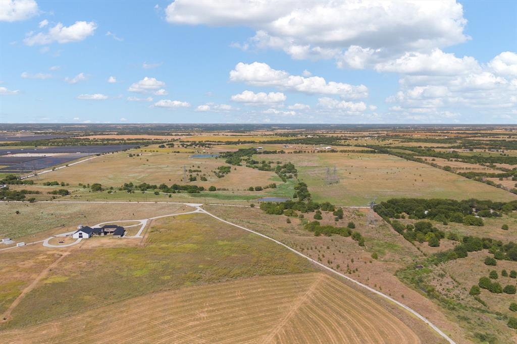 Roebuck - Farm