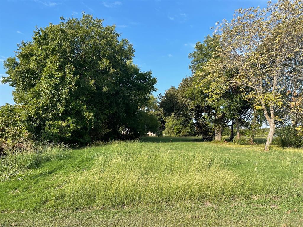 The Shores On Richland Chambers Lake - Land