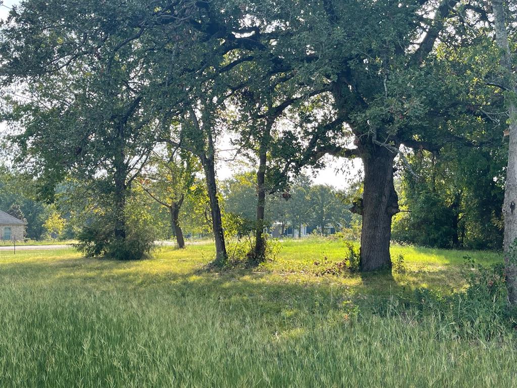 The Shores On Richland Chambers Lake - Land