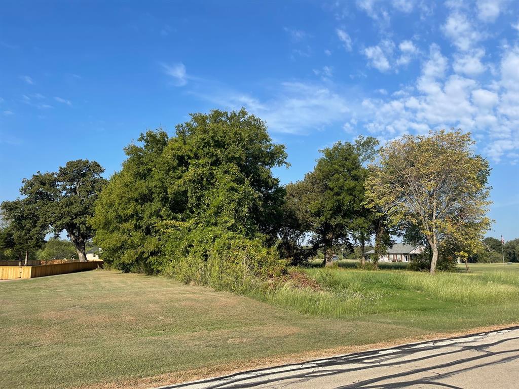The Shores On Richland Chambers Lake - Land