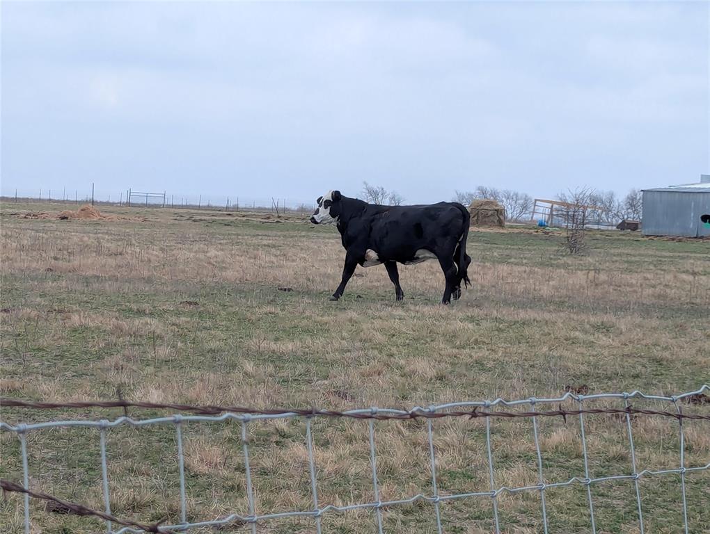 A0342&A0828 PETERS L - Land