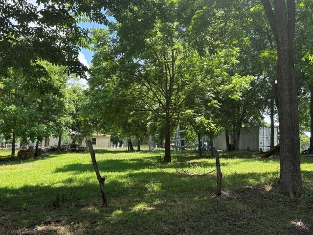 Old Town Pecan Gap - Residential