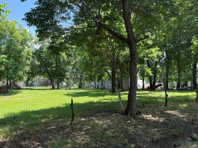 Old Town Pecan Gap - Residential