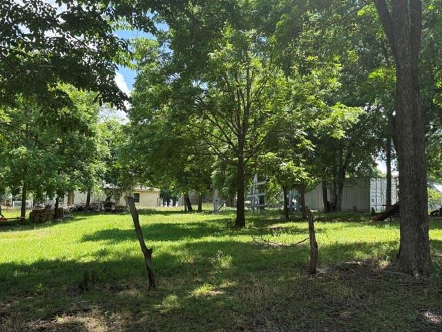 Old Town Pecan Gap - Residential