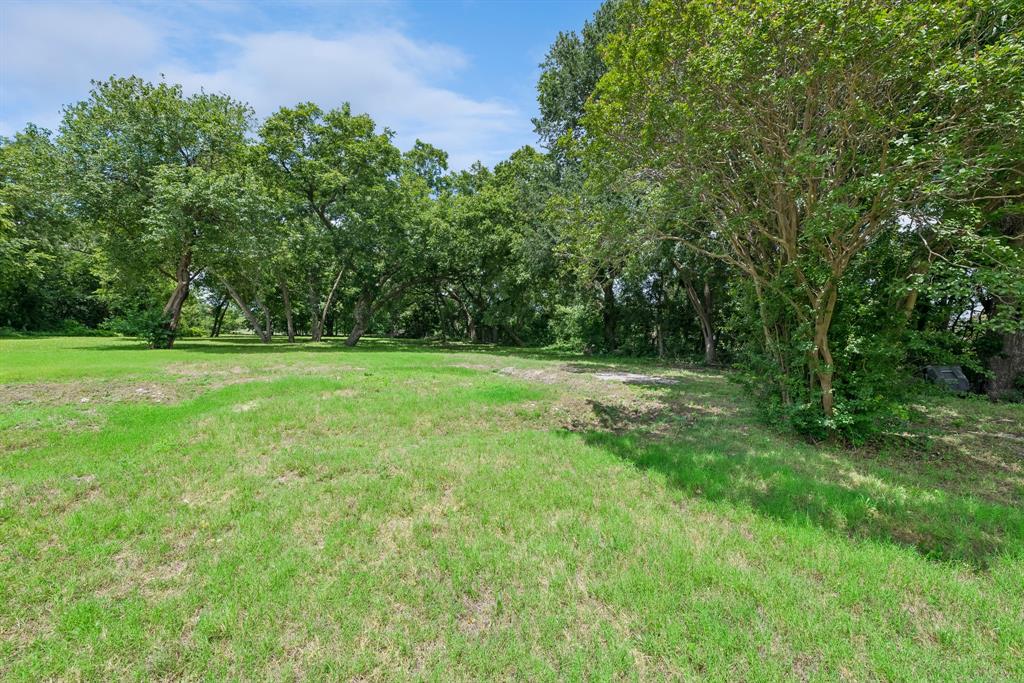 Calvin Boles Survey - Land
