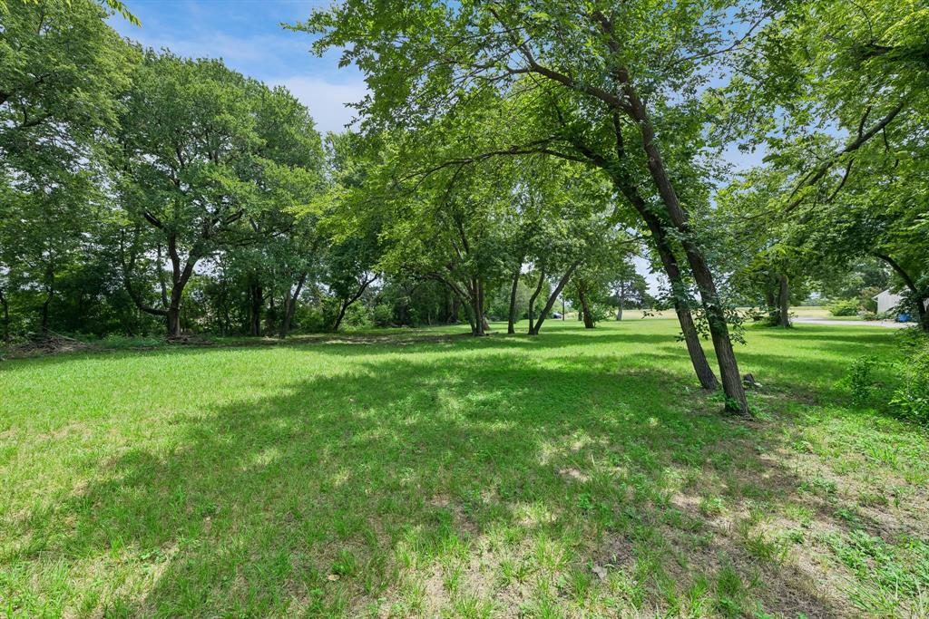 Calvin Boles Survey - Land