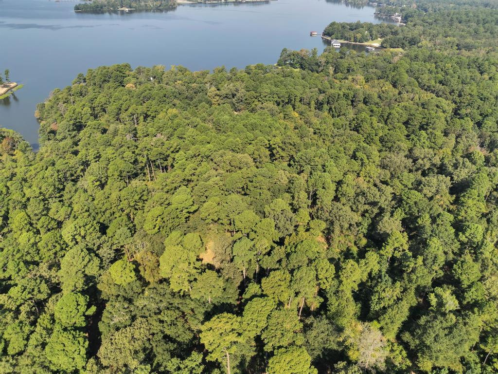 East Side Lake Tyler - Land