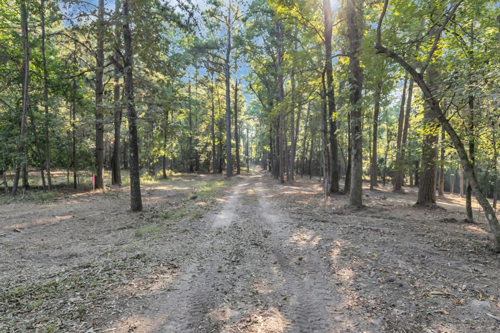 East Side Lake Tyler - Land
