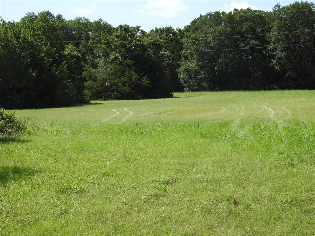 A0449, T. GREEN SURVEY - Land