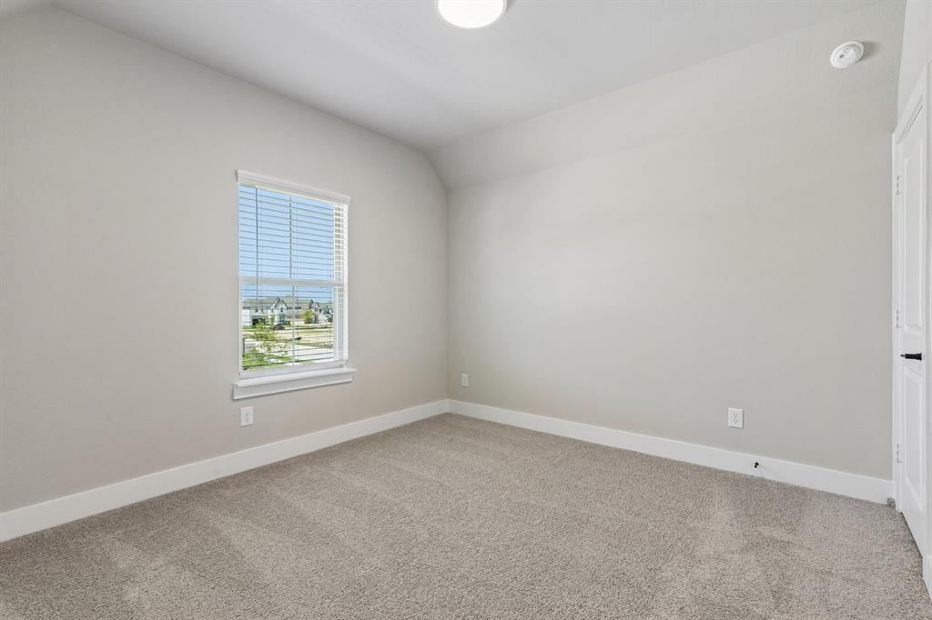Painted Tree - Residential