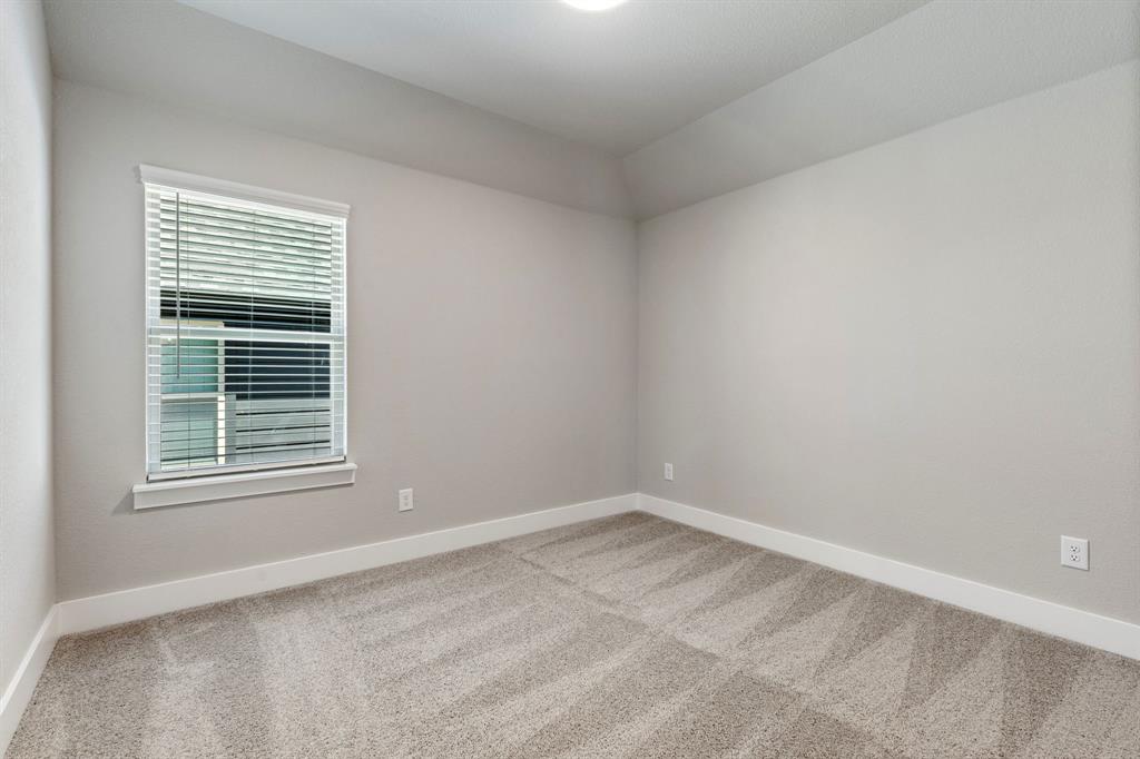 Painted Tree - Residential