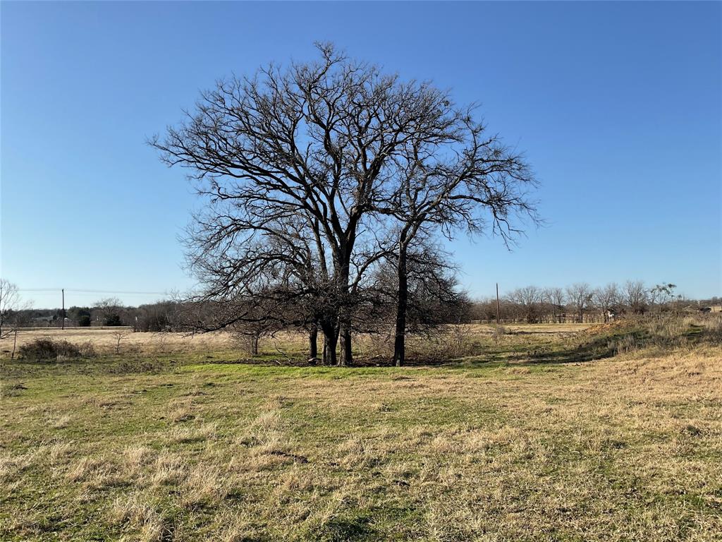 Bourland J - Farm