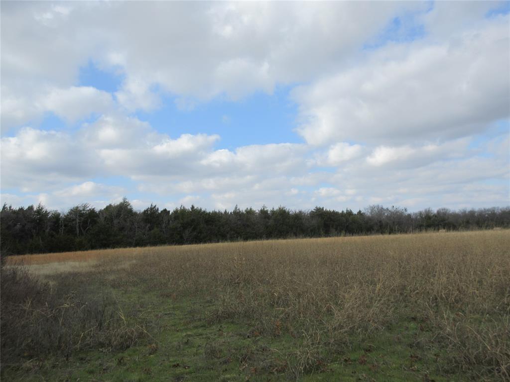 Bonham - Land