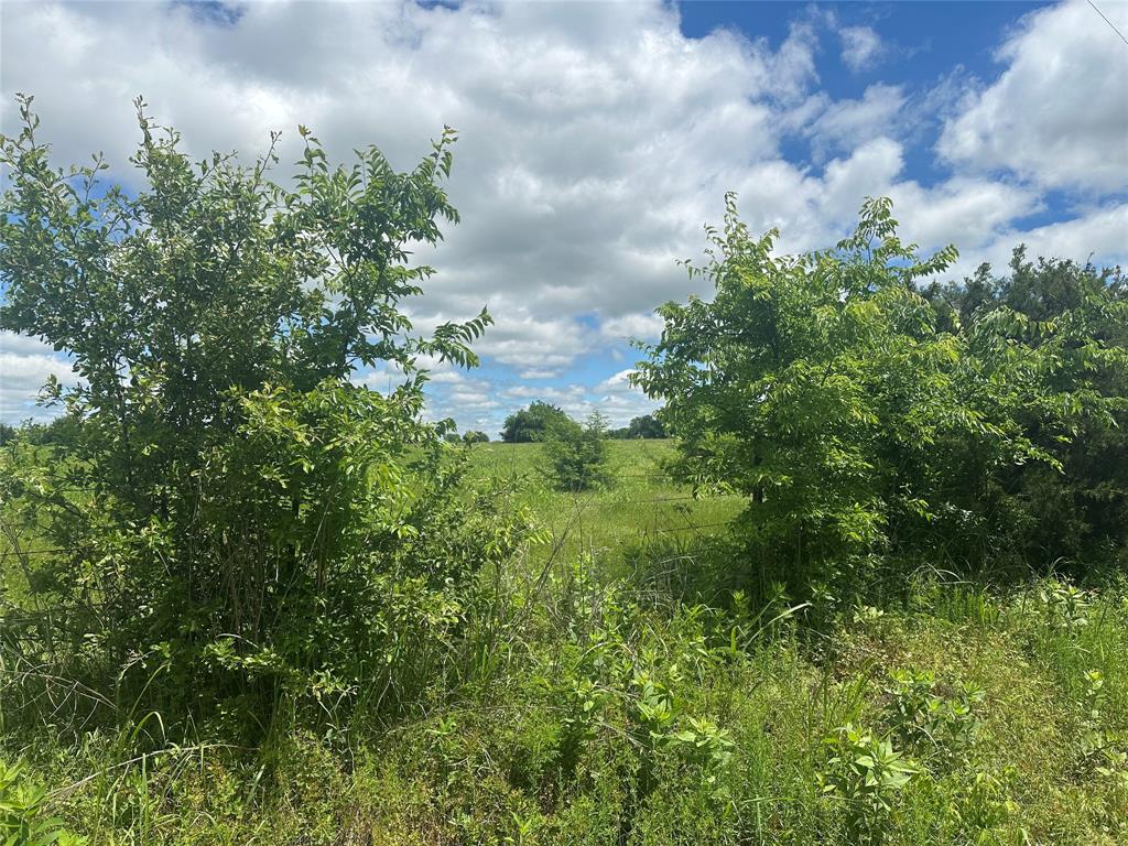 Quincy Estates - Land