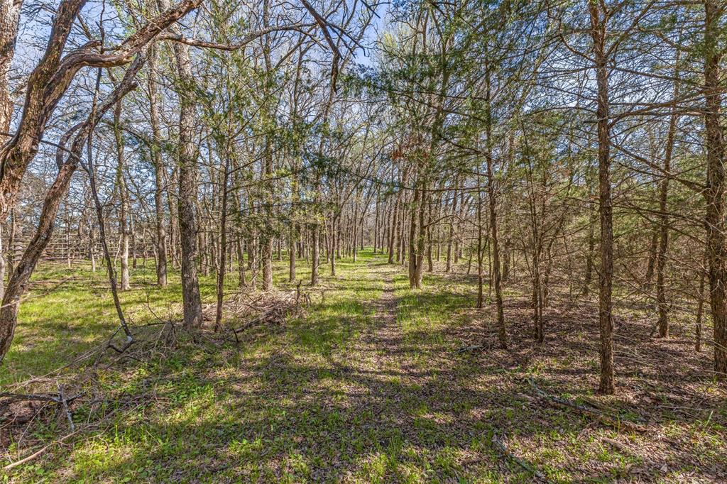 Benjamin Clark Survey - Farm