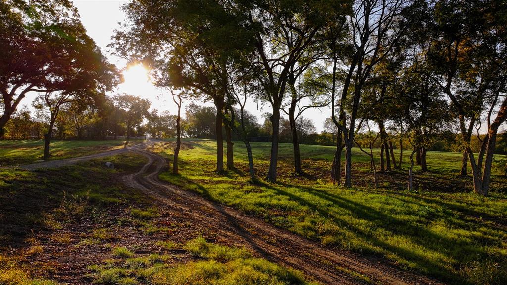 Calvin Boles - Farm