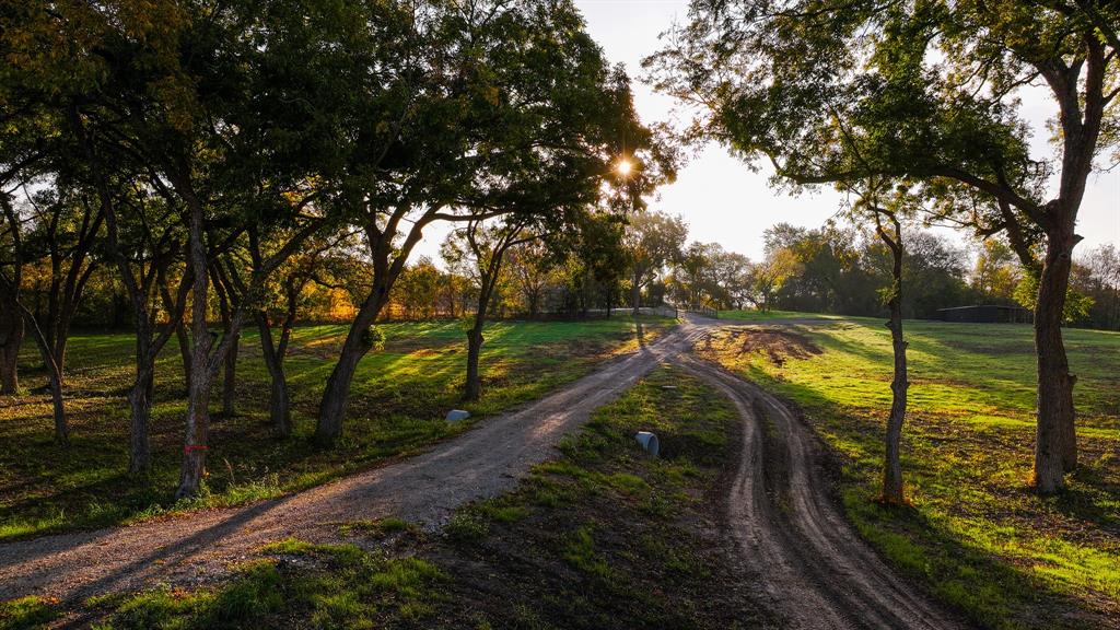 Calvin Boles - Farm