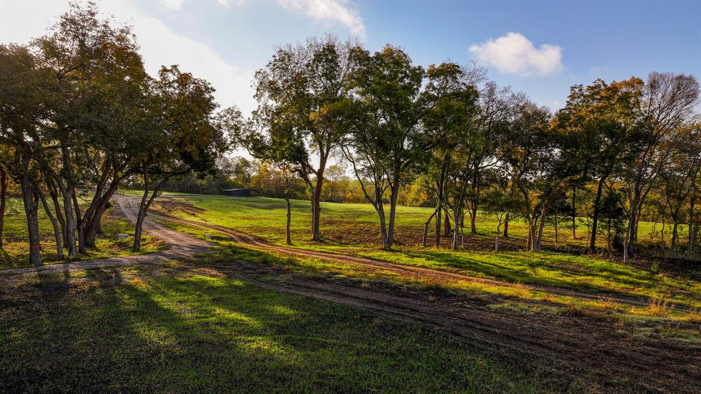Calvin Boles - Farm