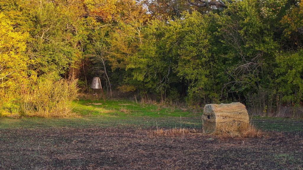 Calvin Boles - Farm
