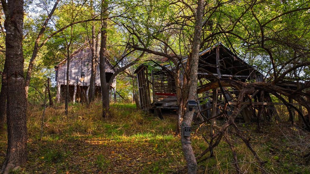 Calvin Boles - Farm