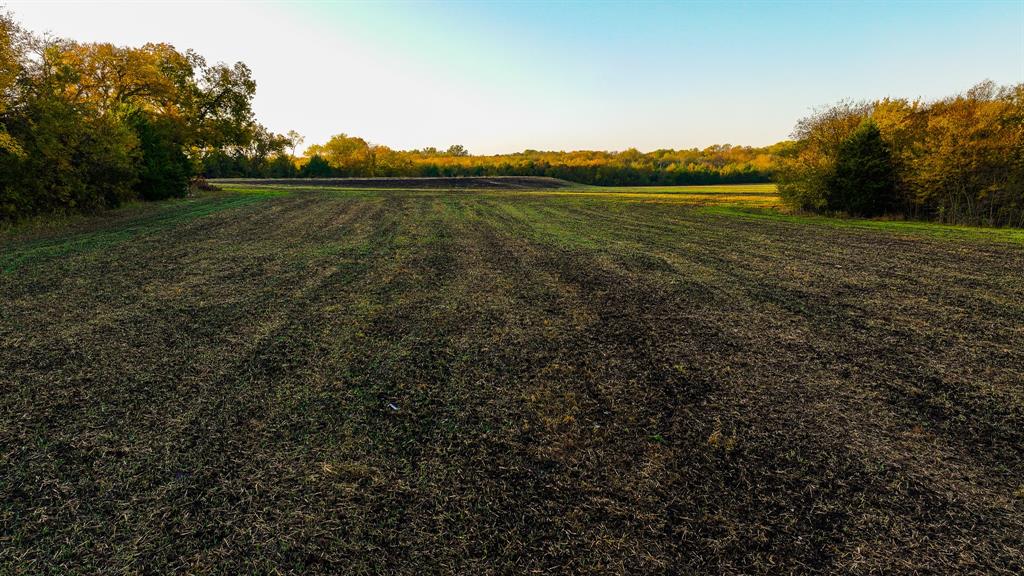 Calvin Boles - Farm
