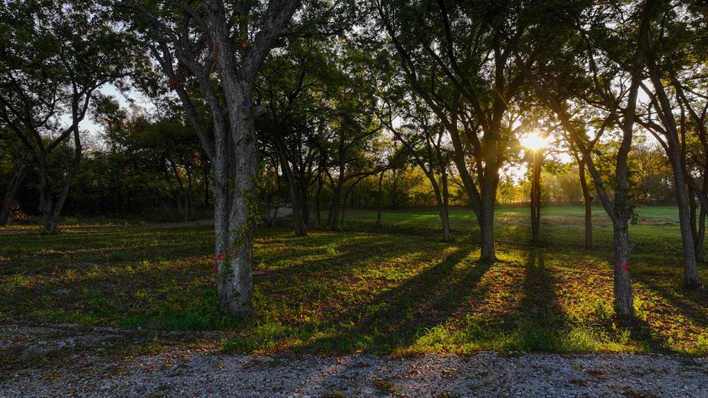 Calvin Boles - Farm