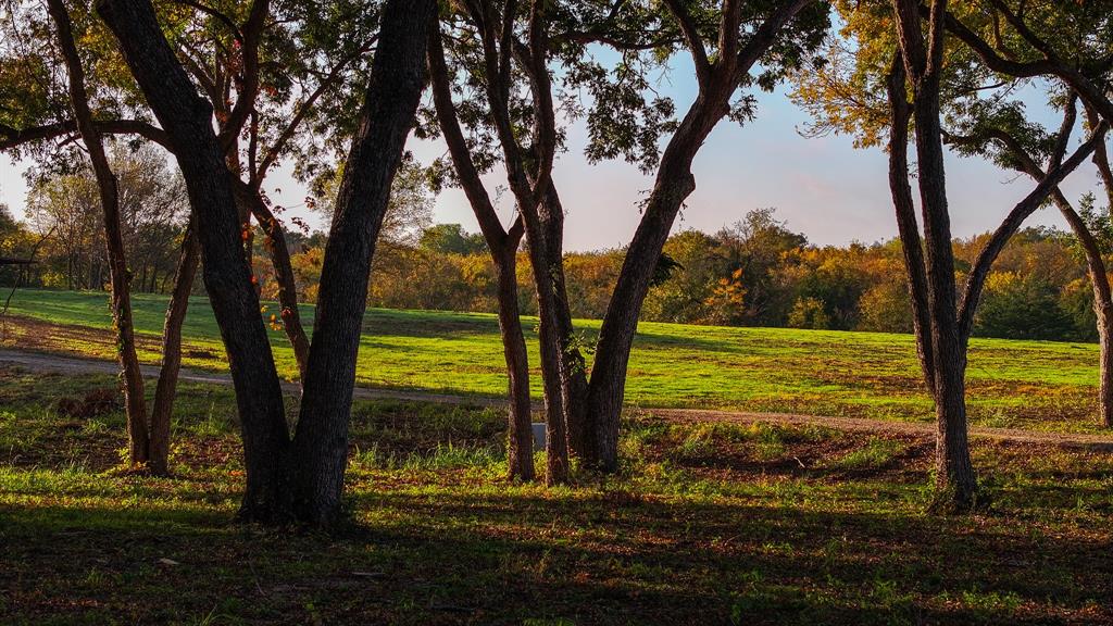 Calvin Boles - Farm