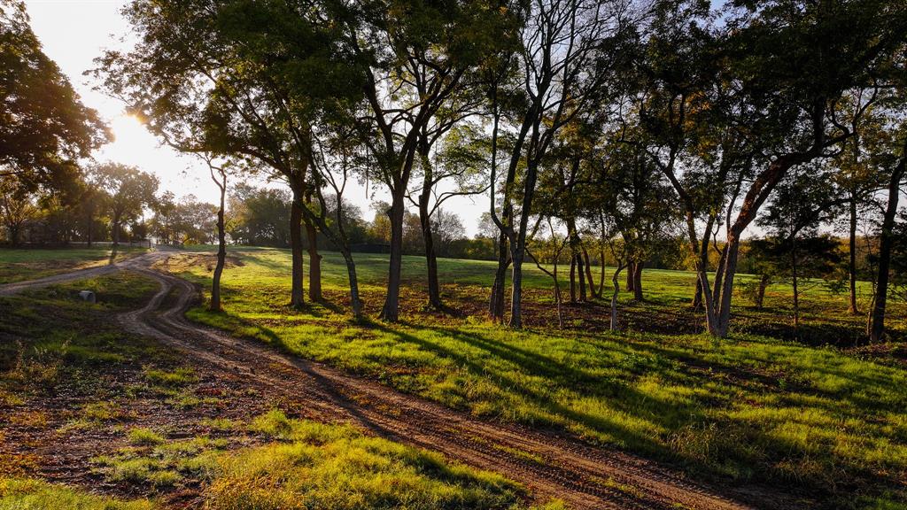 Calvin Boles - Farm