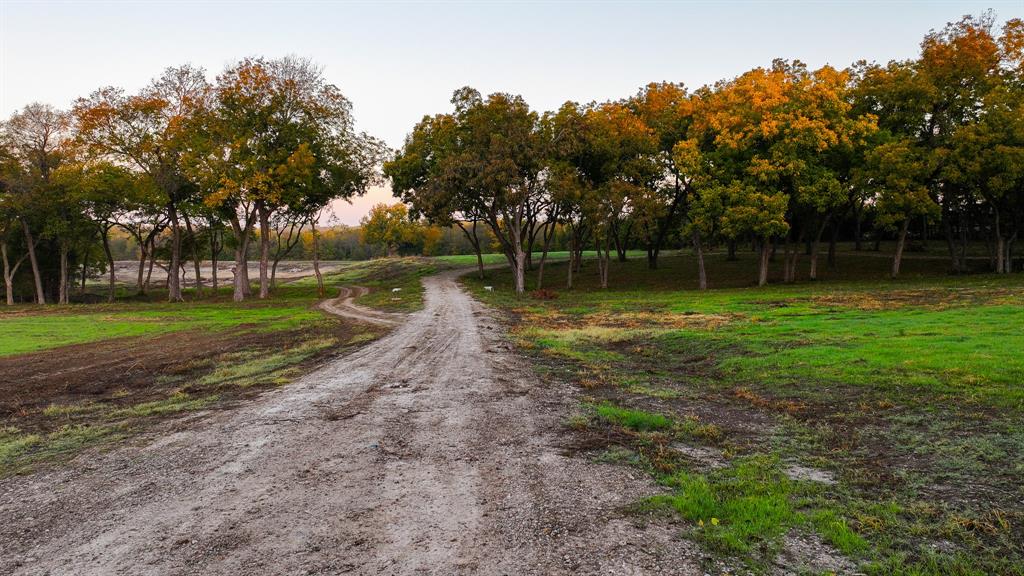 Calvin Boles - Farm